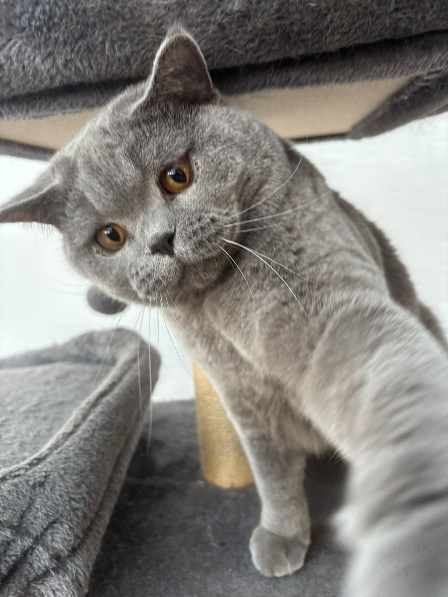 David Salter tweet media