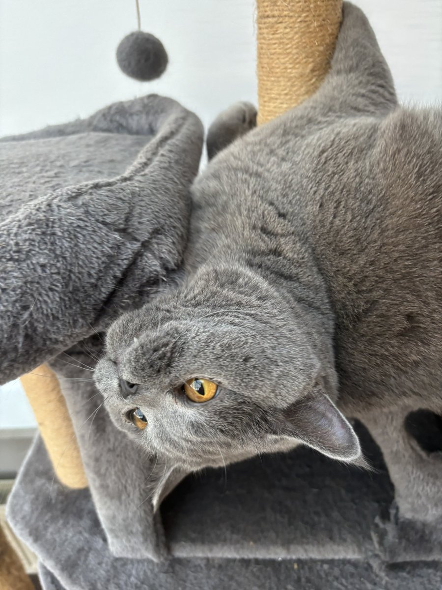 David Salter tweet media