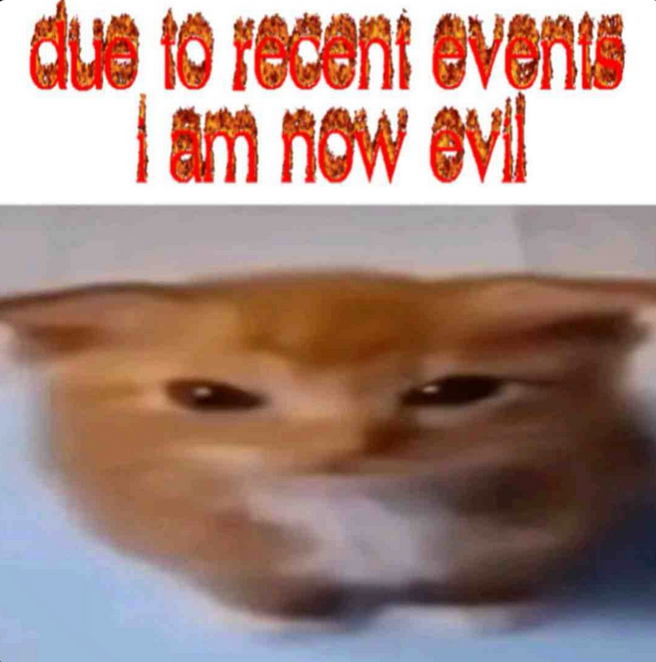 LiterallyMeCats tweet media