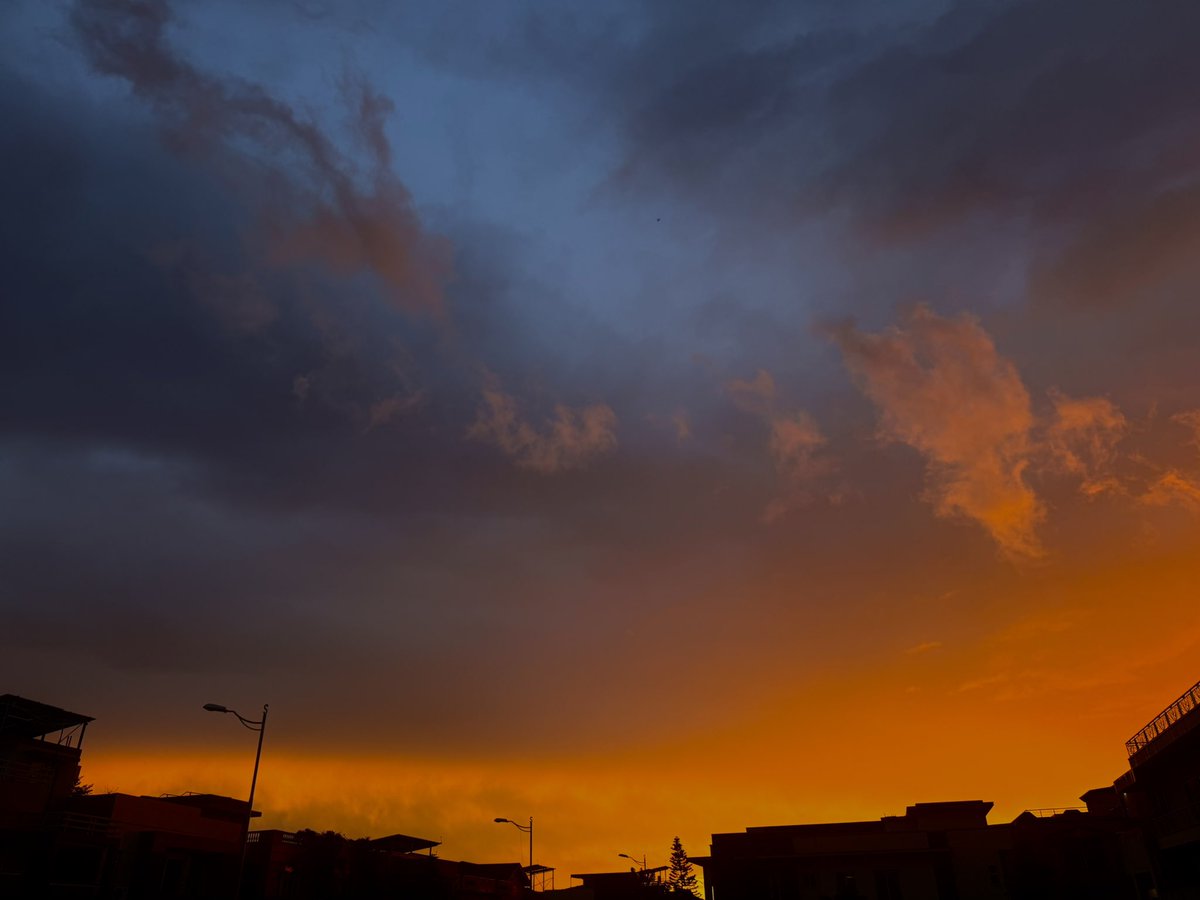 lare osaeee tweet media