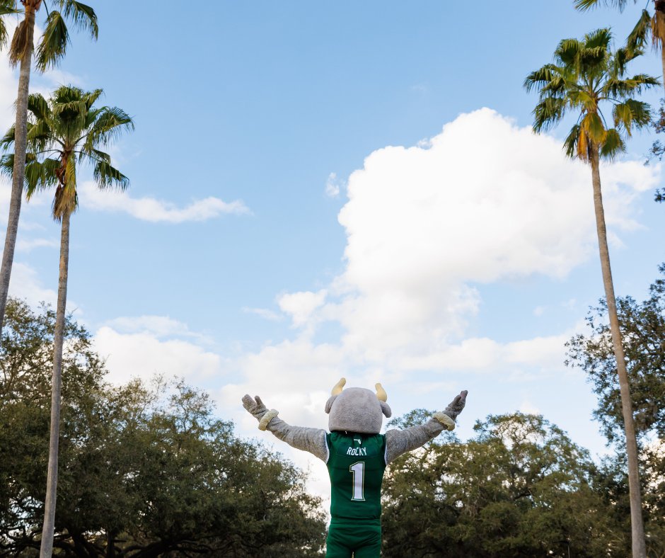 USF College of Arts and Sciences tweet media