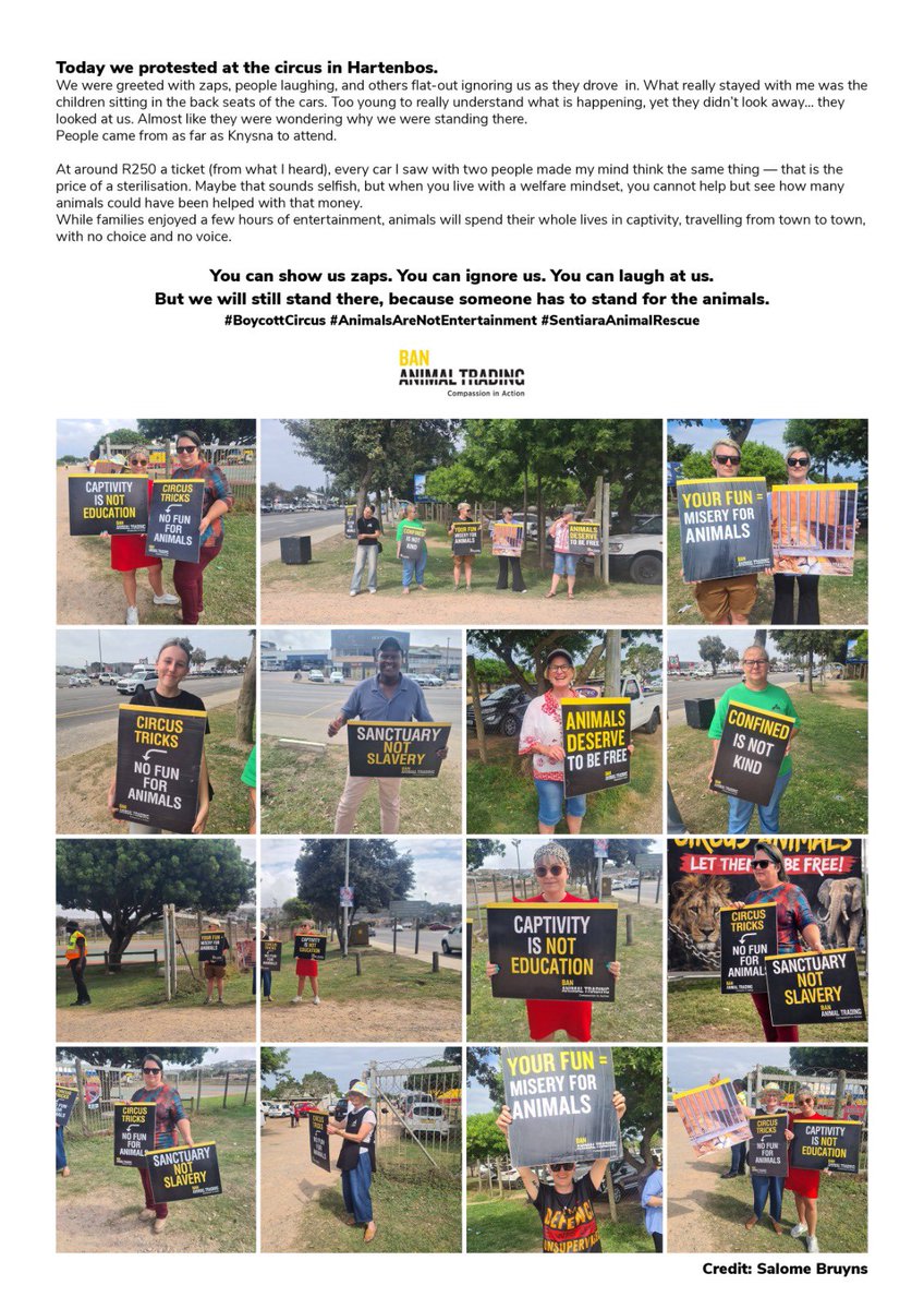 Ban Animal Trading tweet media