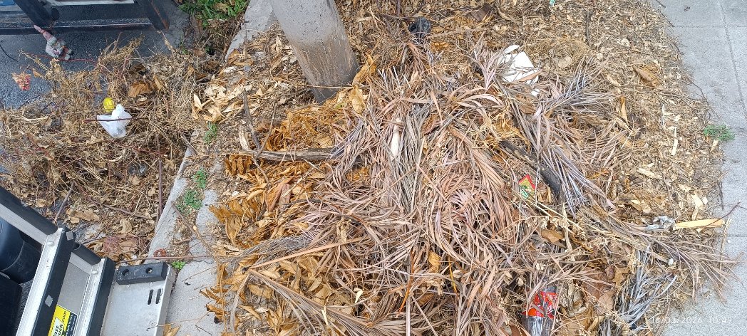 g_iveth's tweet photo. #DenunciaCiudadana 
Col Altos del boulevard
Acumulación de agua sucia, basura y obstrucción de la alcantarilla. Llamado a las autoridades correspondientes @alcaldia_ss
@DesechoSolidos @marioduran
@noticias4vision para evitar propagación de enfermedades y criadero de zancudos. https://t.co/VF8nsmkss6
