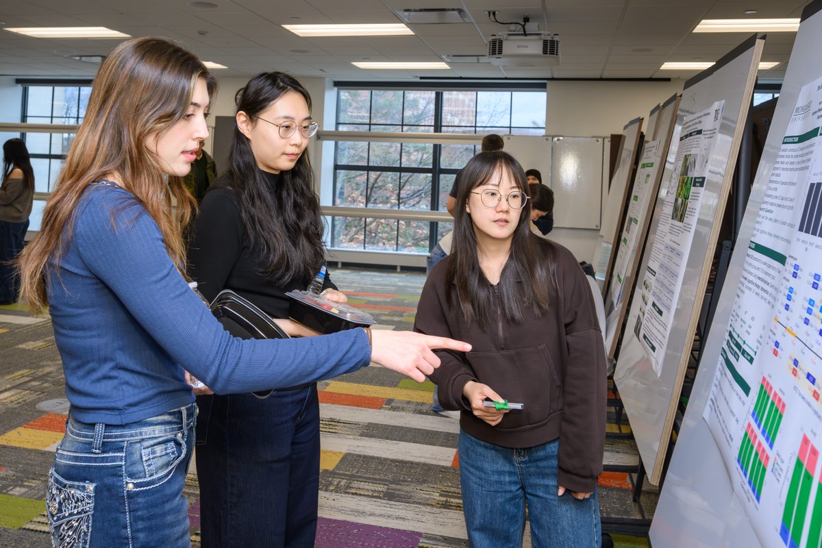 MSU International Studies & Programs tweet media