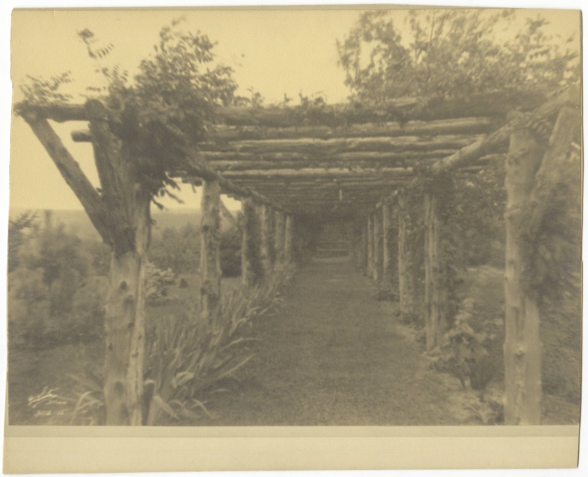 UNC Library tweet media