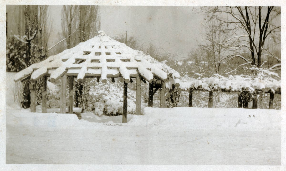 UNC Library tweet media