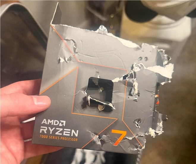 Cowcotland tweet media