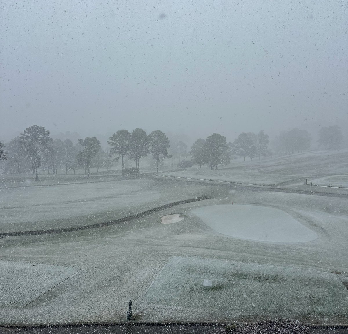 Highland Park Golf tweet media