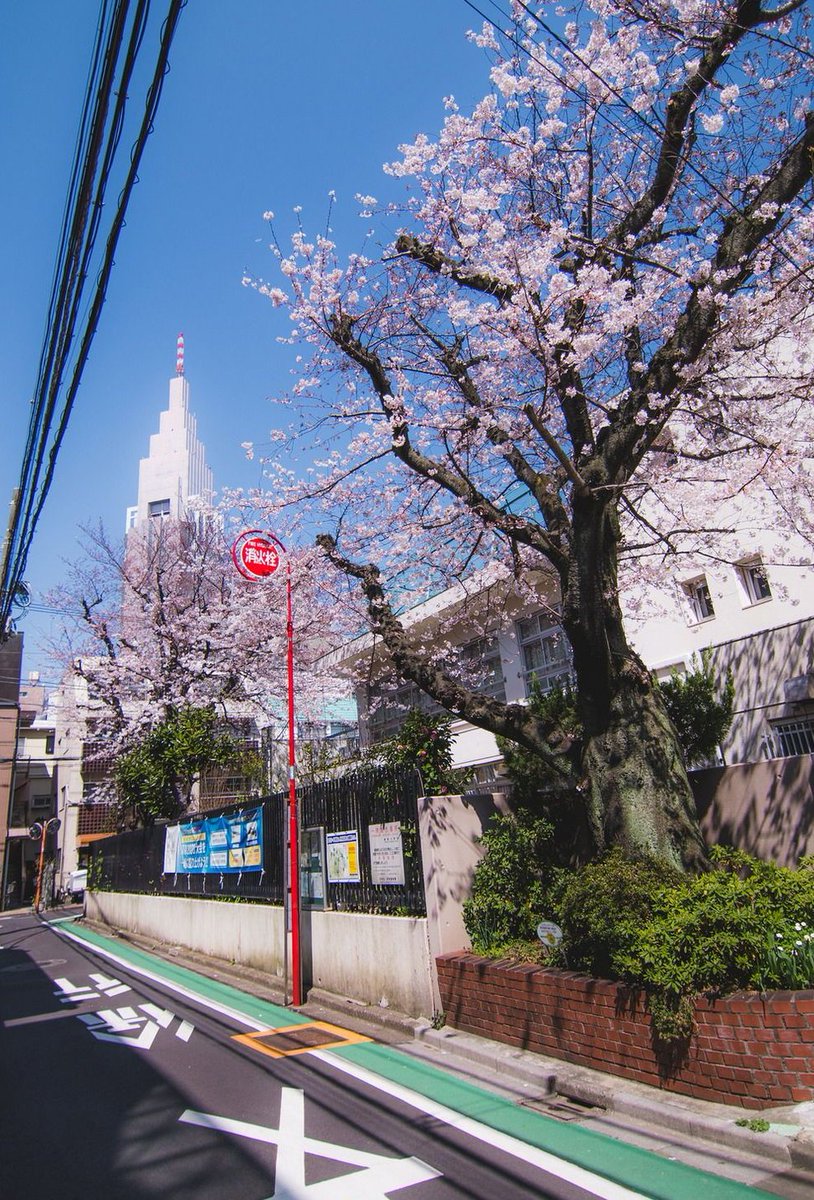 しゅん tweet media