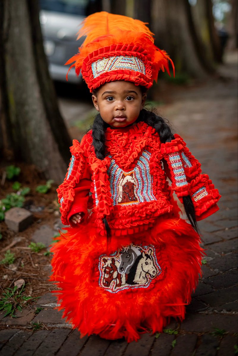 Dr. Allison Wiltz tweet media