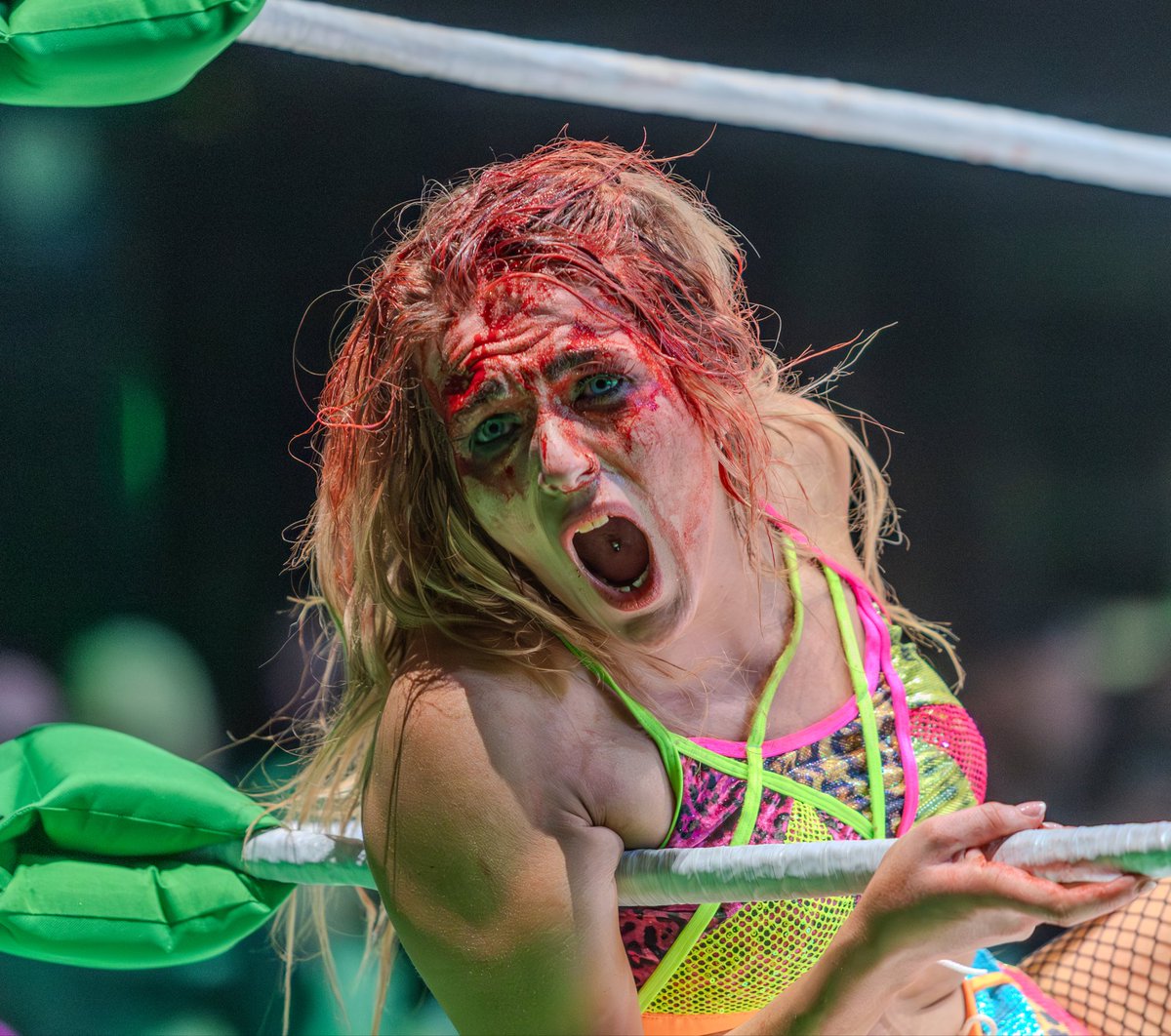 Chris Gannon 🌺 tweet media