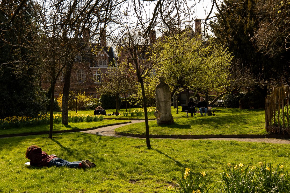 Raphael Barberi📷 tweet media