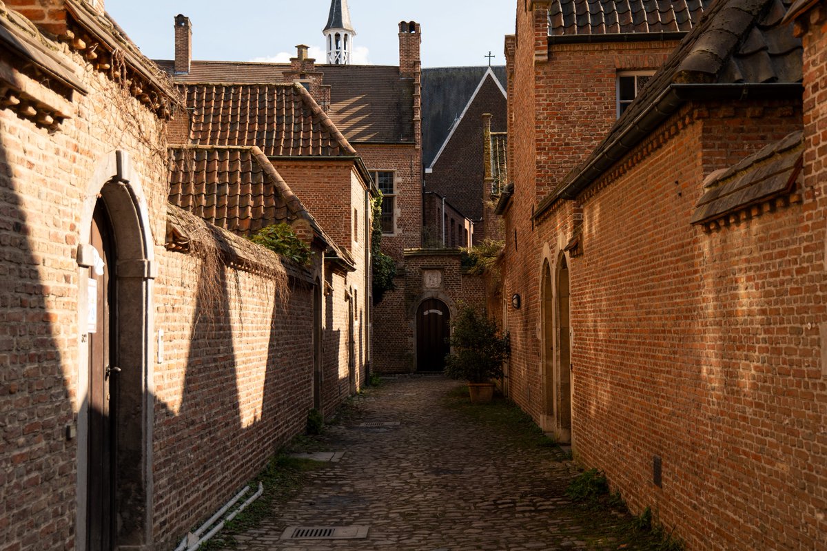 Raphael Barberi📷 tweet media