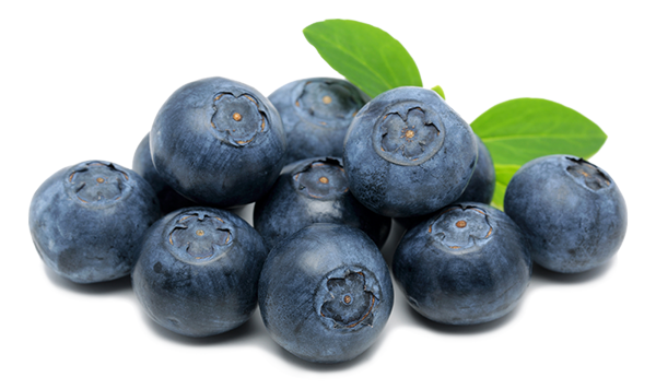 Lassen's tweet media