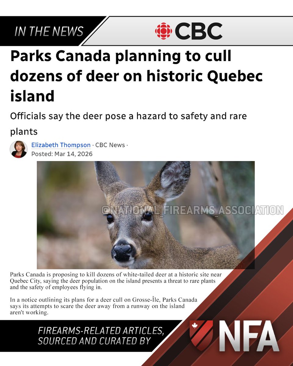 Hey! Remember when the Liberals spent nearly a million dollars to bring in Americans and New Zealanders, using “assault-style” rifles -in their words, “designed to only kill people”, from helicopters, boats, and net-fencing (which allegedly killed 2 in a horrible manner) to cull