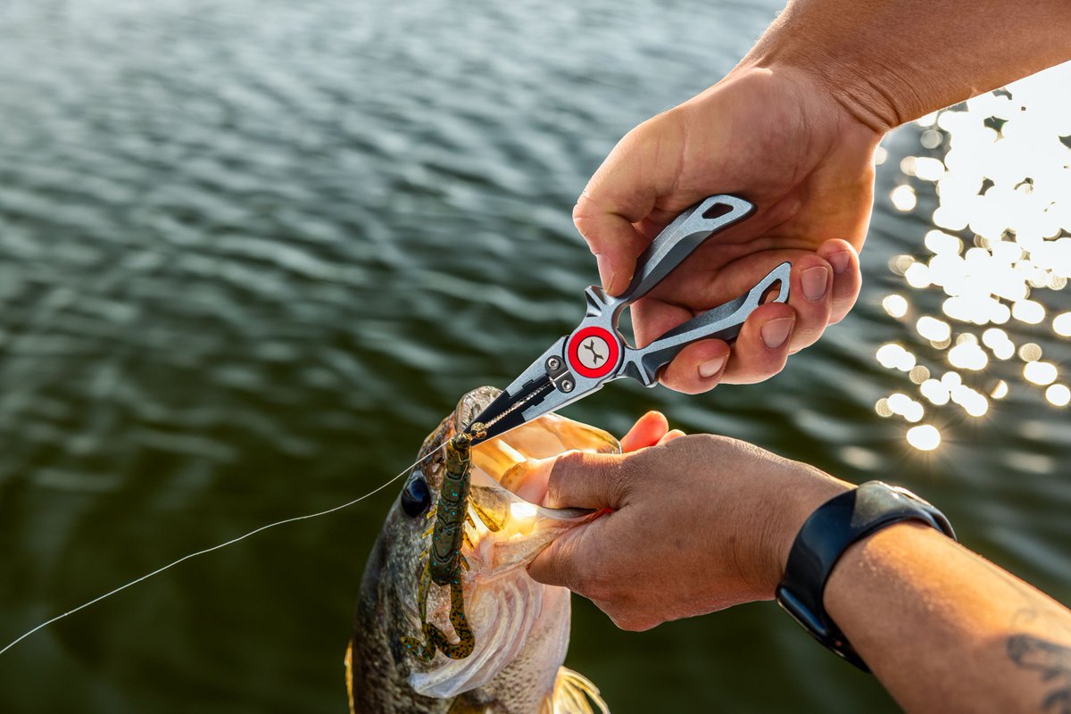 XPS Fishing (@XPSFishing) / Posts / X