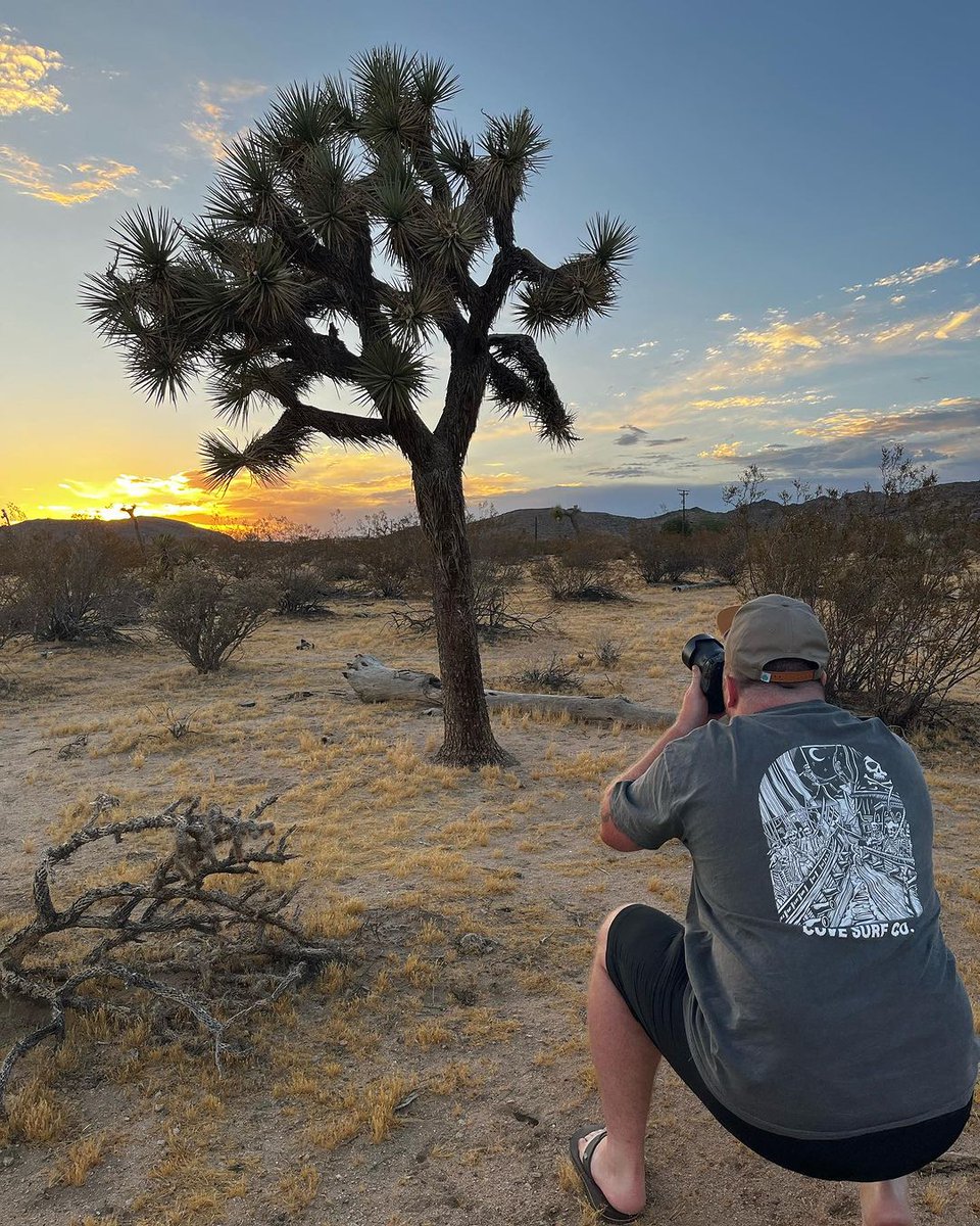 Joshua Tree Coffee tweet media