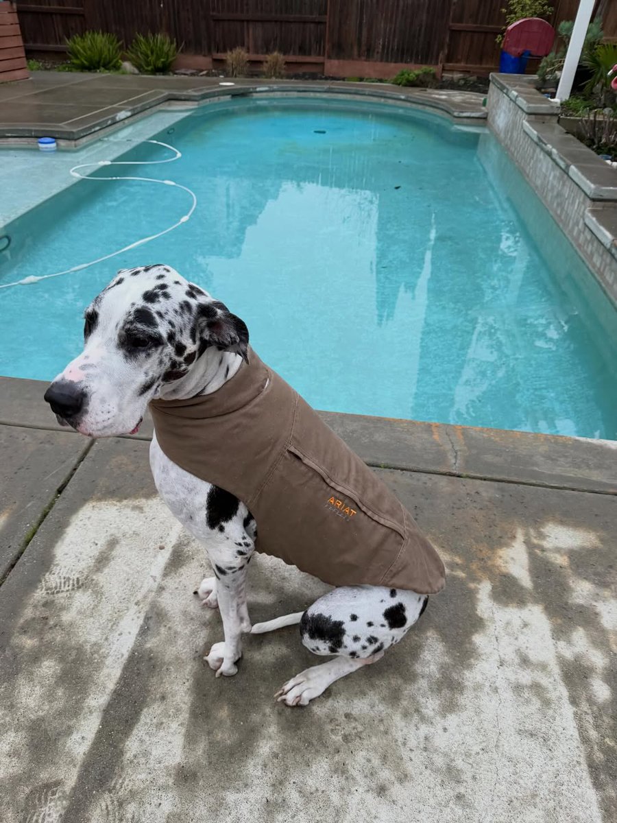 Ariat International tweet media