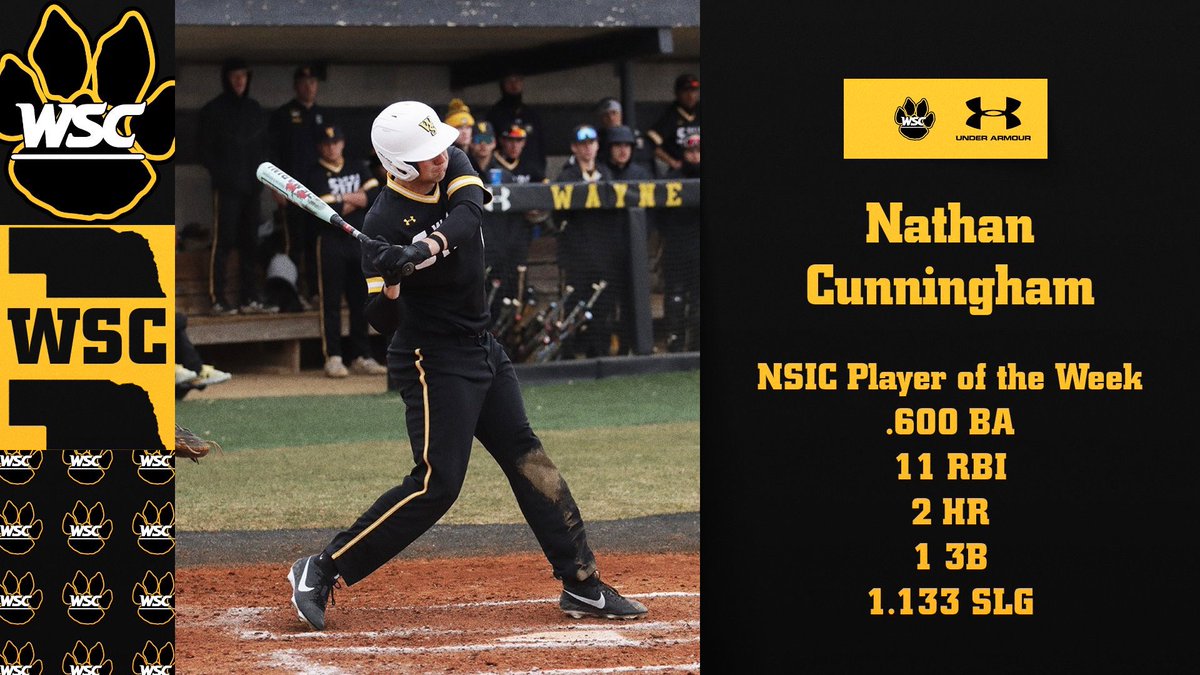 Wayne State Baseball tweet media