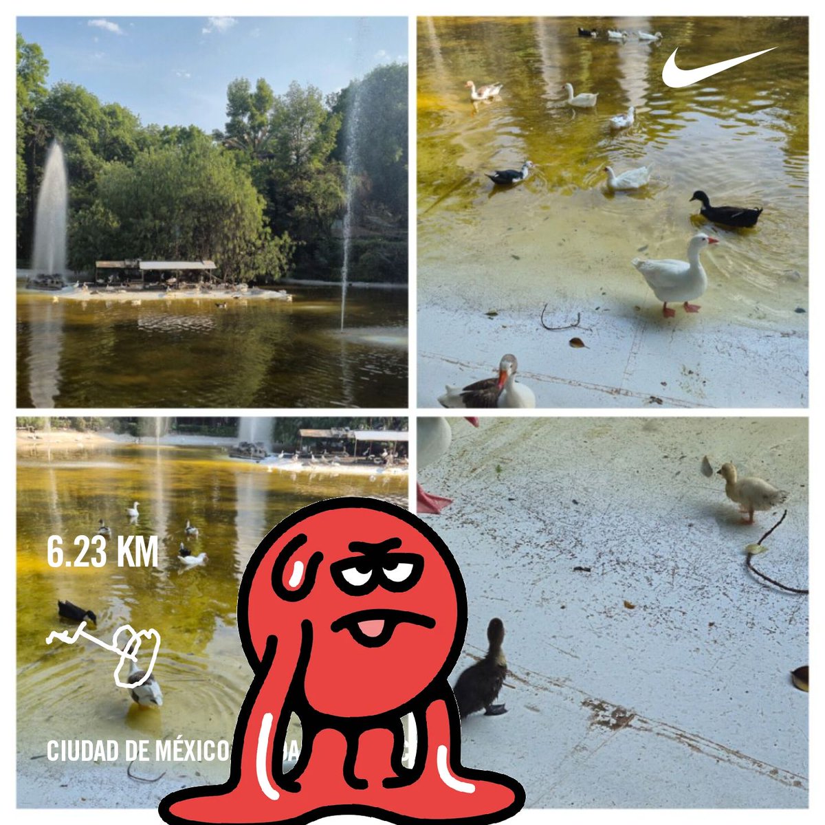 Efren Casas tweet media