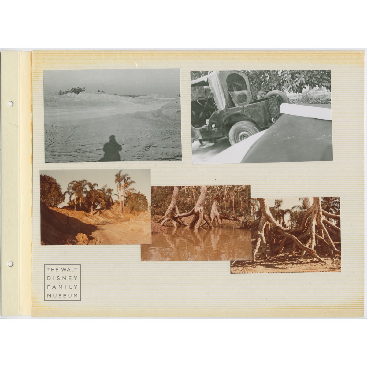 The Walt Disney Family Museum tweet media