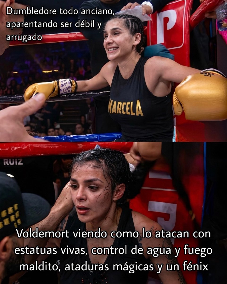 Club Potterhead. tweet media