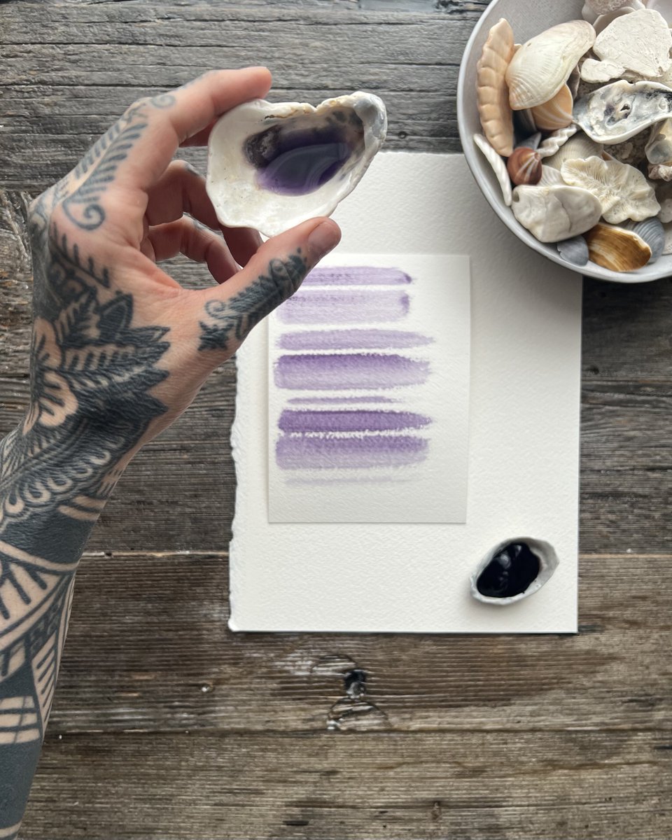 Joelle LB tweet media