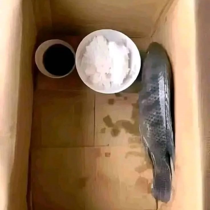 Pukerainbow 🤮🌈 tweet media