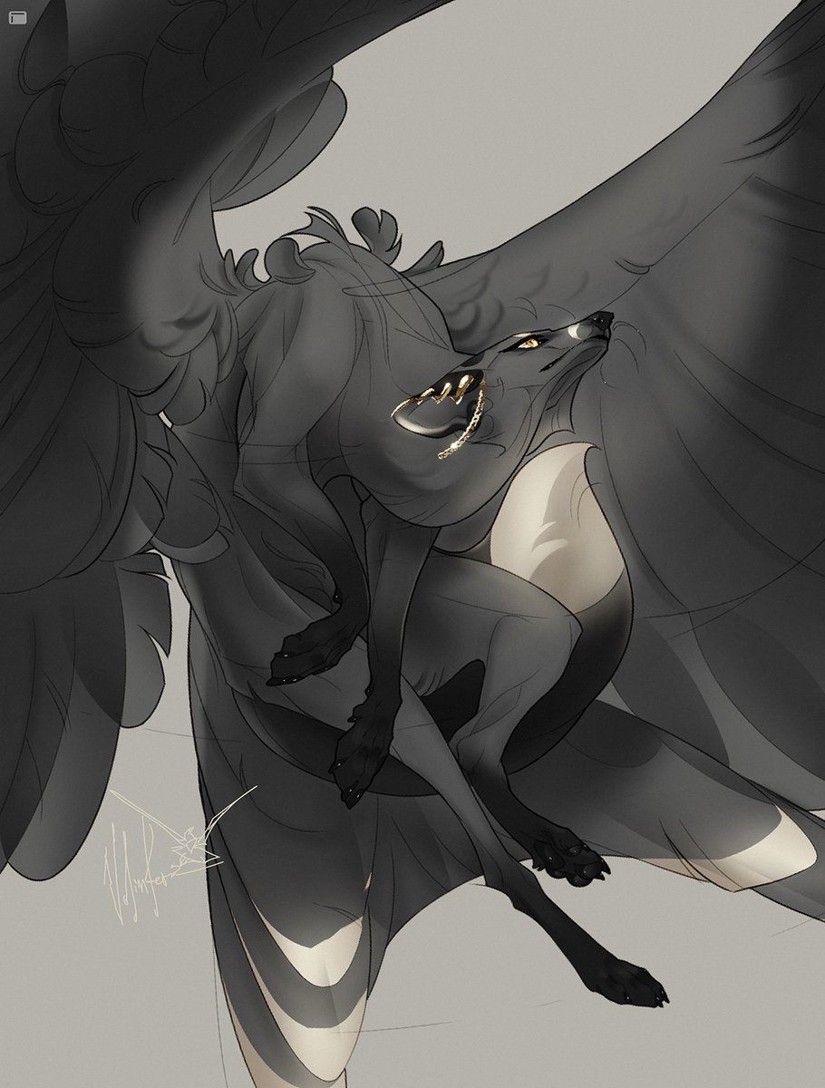 Ryka 𓅃 tweet media