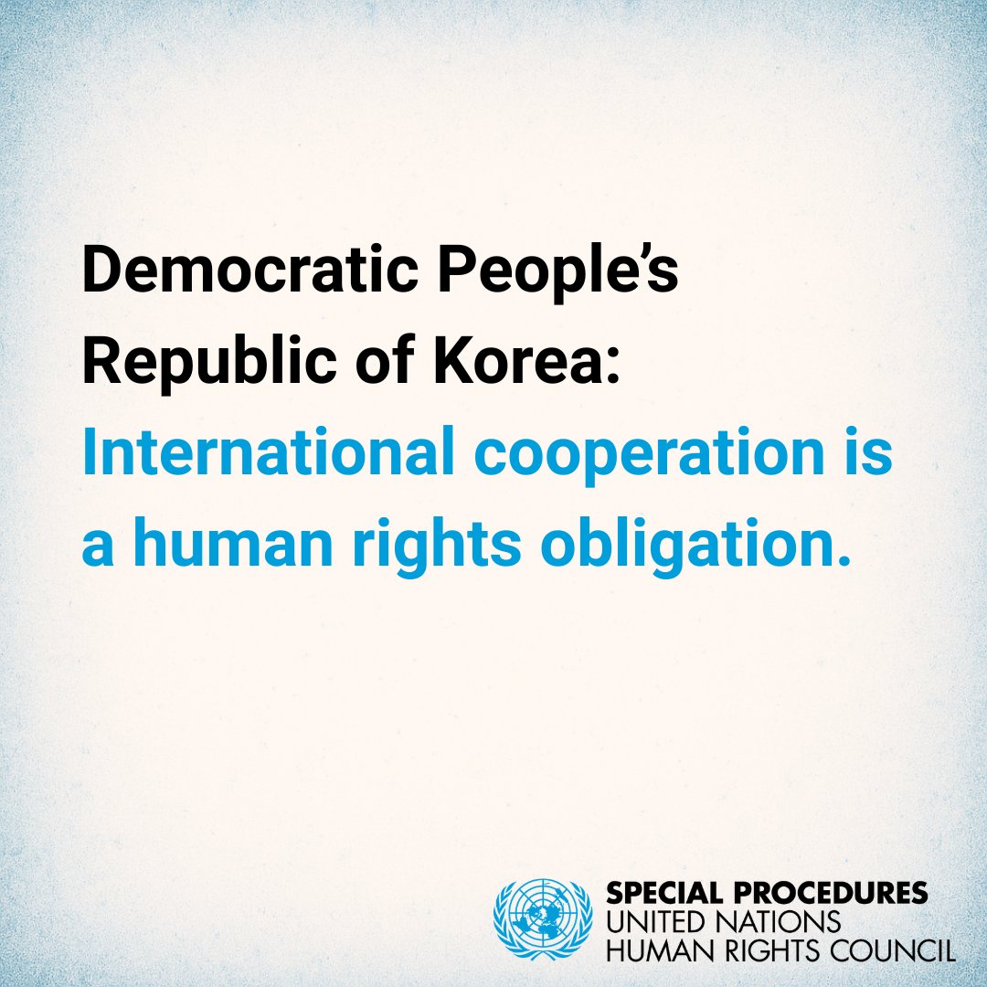 UN Special Procedures tweet media