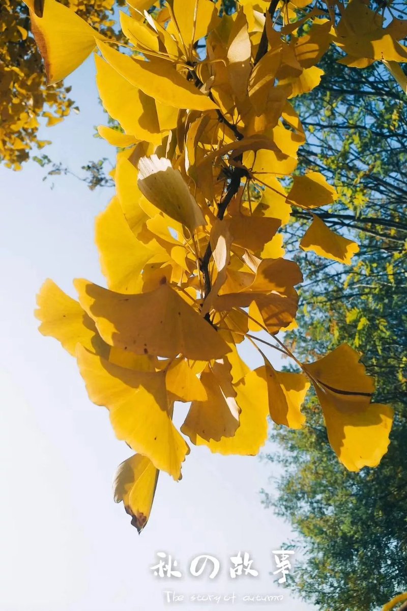 Al Murchison tweet media