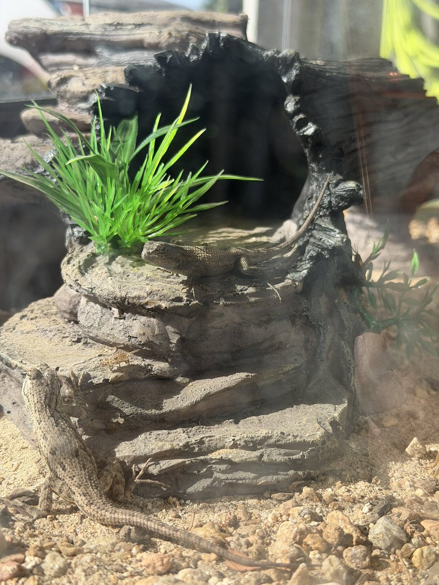 FirePhotoGirl tweet media