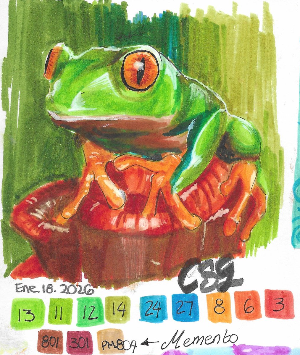 CamySG8's tweet photo. 🐸Froggy🐸
#frogtwitter #Crayola #CamySG #artetradicional #animals #ArtistOnTwitter #artists #colorpencils #SuperTipsMarkers #traditionalart #ilustration https://t.co/FT3tqS7opo