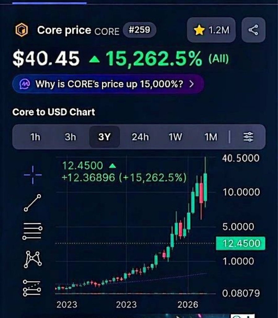 Alpha Whale 🐳 tweet media