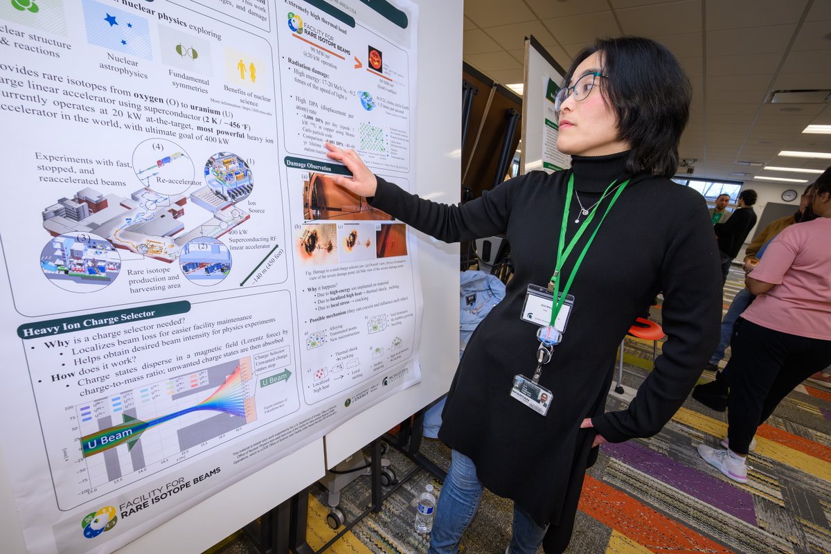 MSU International Studies & Programs tweet media