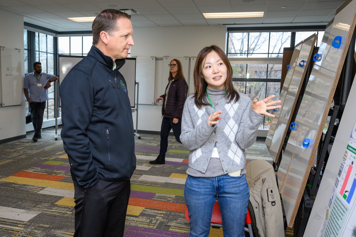 MSU International Studies & Programs tweet media