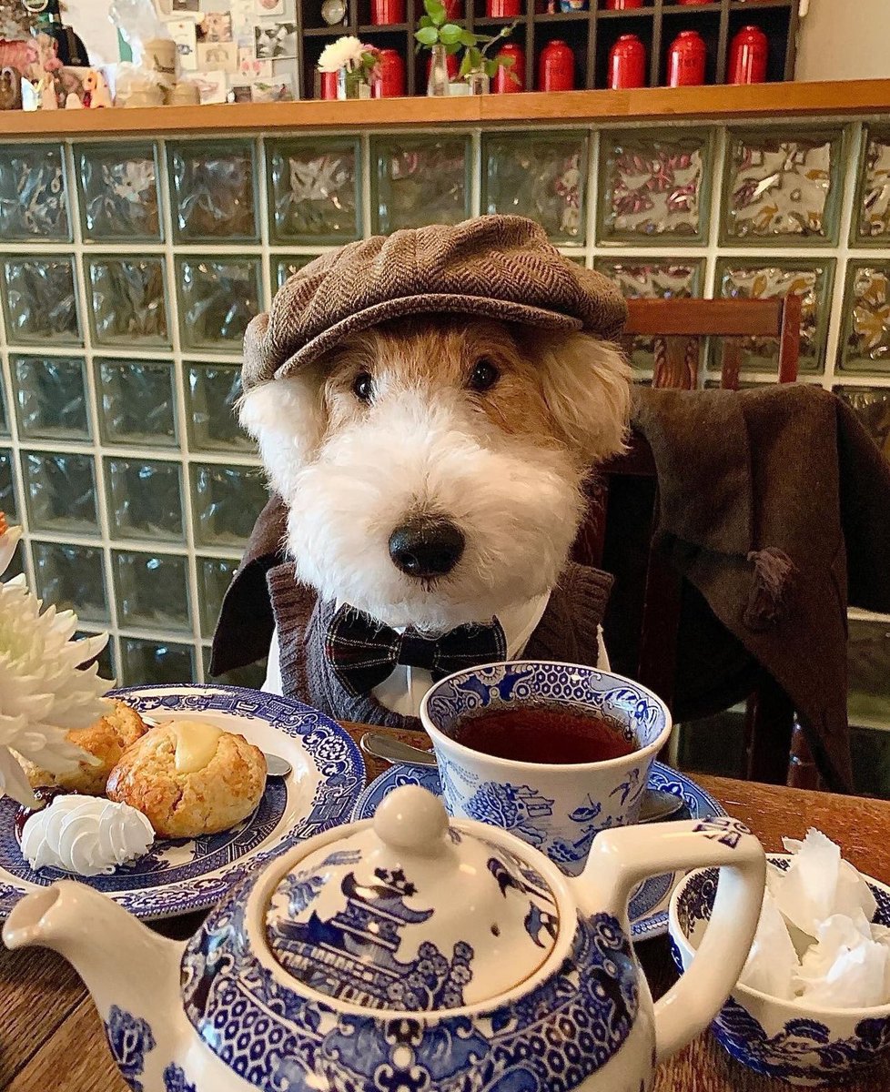 𝕵𝖆𝖉𝖊 ☧ ✠🌻 tweet media