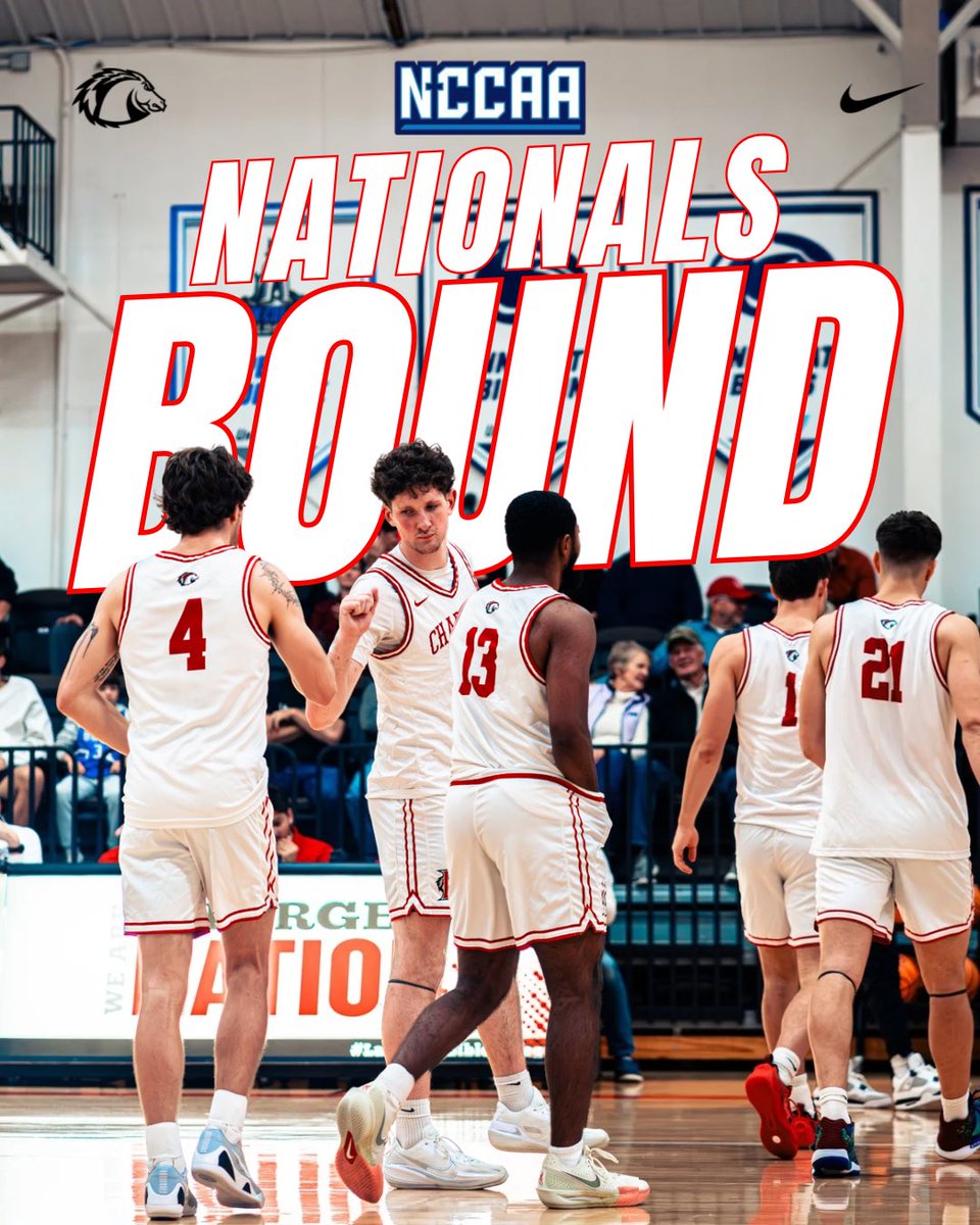 LBC Hoops tweet media