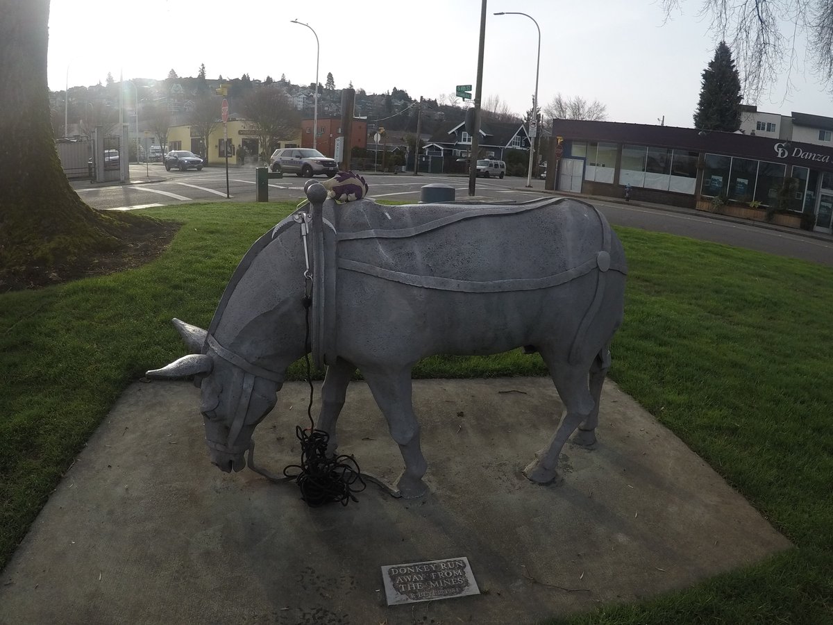 クランベリー tweet media