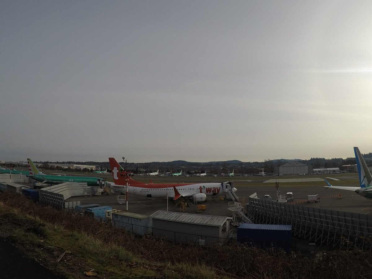 クランベリー tweet media