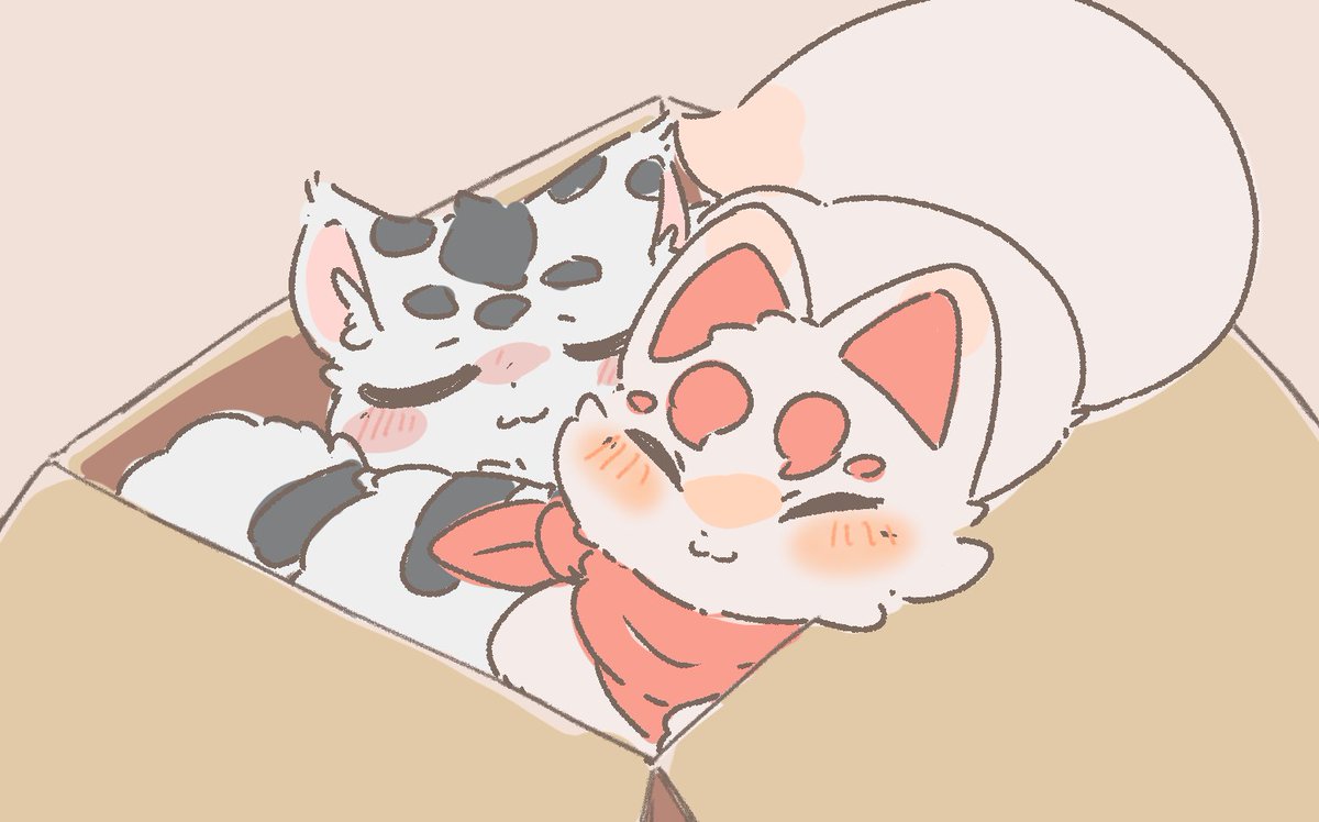 ほめつ tweet media