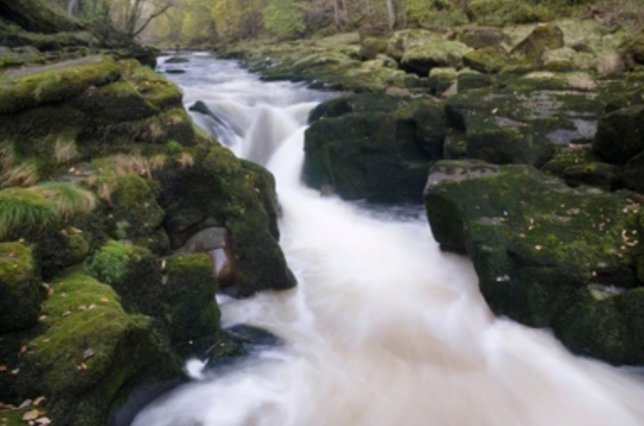 Blast nation tweet media