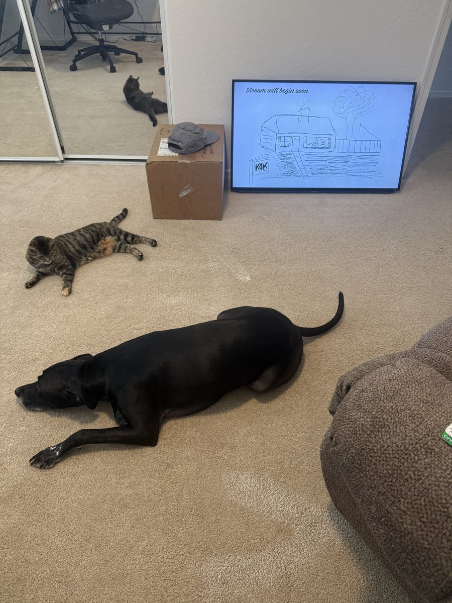 Just moved into our new house and we couldn’t chance missing an episode of <a href="/BarstoolYak/">The Yak</a> <a href="/BarstoolBigCat/">Big Cat</a> <a href="/kbnoswag/">KB</a> <a href="/Katiemoneygrabz/">Kate</a> <a href="/nickturani/">Nicky</a> <a href="/clubtrillion/">Mark Titus</a> <a href="/BFW/">Brandon Walker</a>