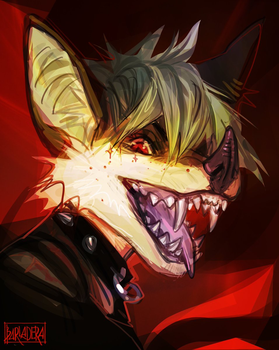 Barladera tweet media