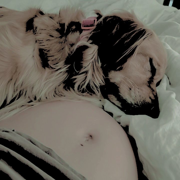 ⠀
⠀⠀⠀       𝗡𝗘𝗪 𝐈𝐍𝐒𝐓𝐀𝐆𝐑𝐀𝐌 𝗣𝗢𝗦𝗧
⠀⠀⠀      𝟤 𝗆𝗂𝗇 𝖺𝗀𝗈 ⧽ @𝑎𝑑𝑑𝑖𝑒𝑔𝑎𝑢𝑡𝘩𝑖𝑒𝑟

⠀⠀⠀ mi-mars et ça continue 🌹