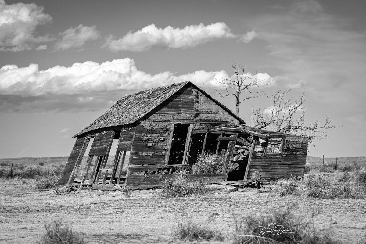 David Davis tweet media