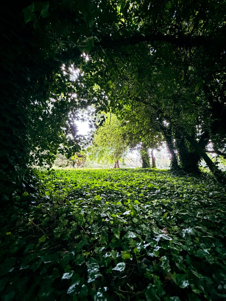 Ulrich Janse van Vuuren tweet media