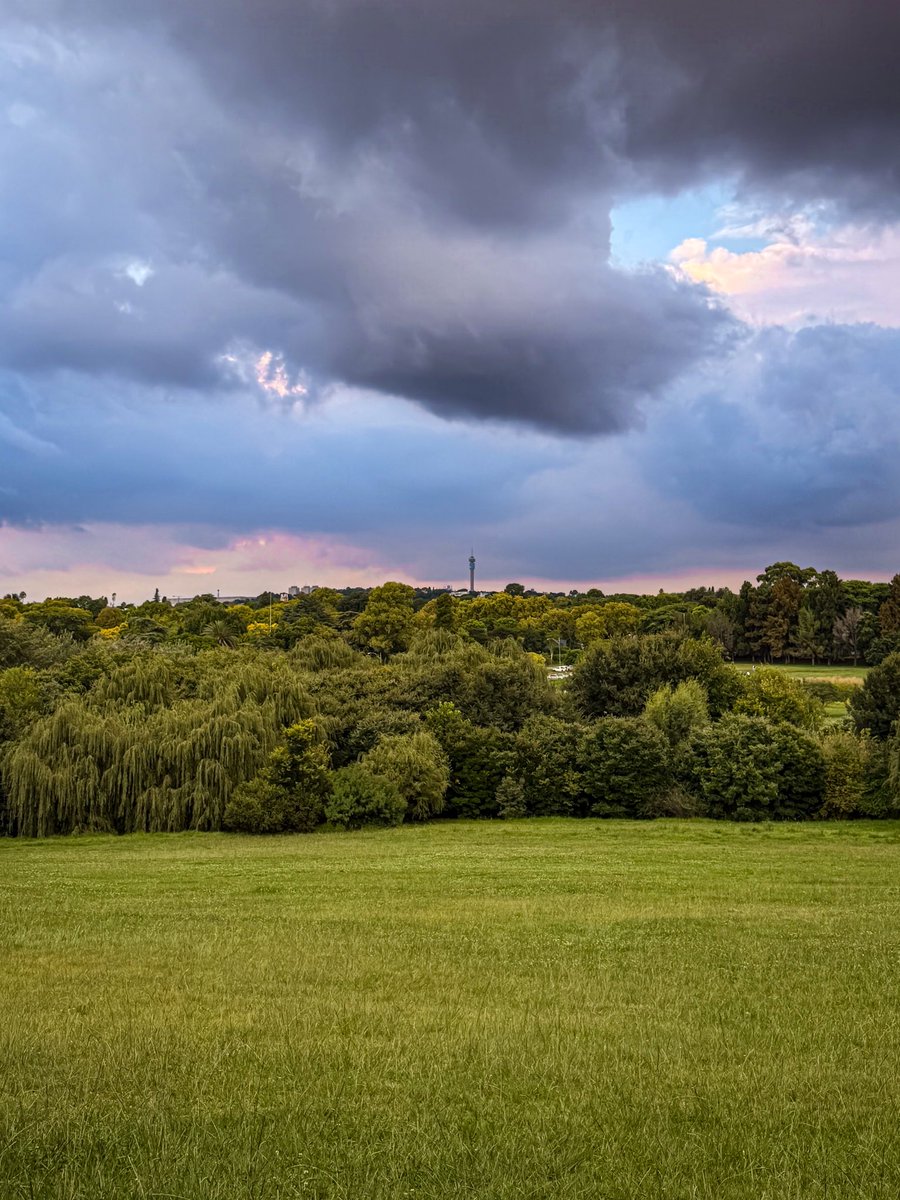 Ulrich Janse van Vuuren tweet media