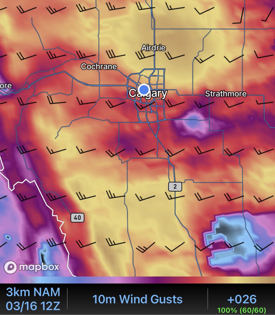 Mitchell Graf tweet media