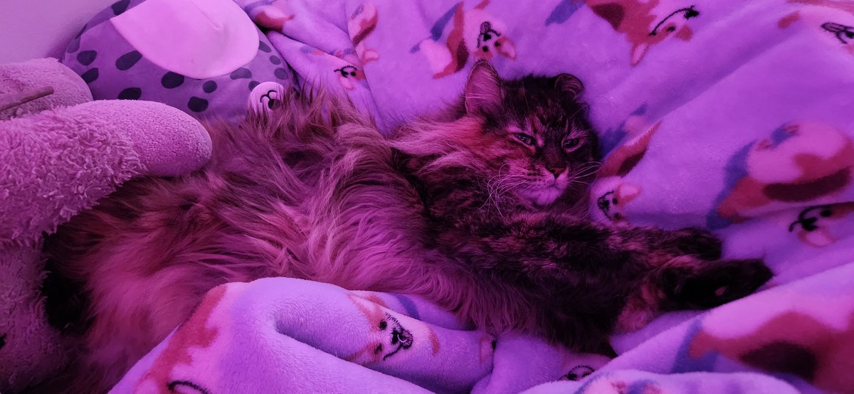 paper_bag ♪ - edtwt tweet media